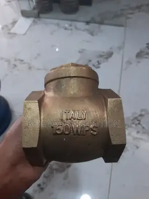 Cheek Valve