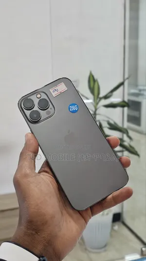 Apple iPhone 13 Pro Max 256 GB