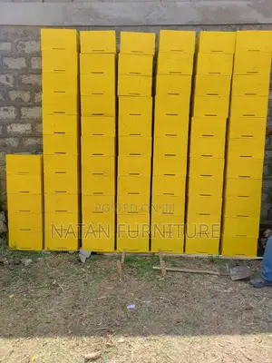 ሙሉ በሙሉ ጥራት ባለው ዋንዛ እንጨት የተሰራ ዘመናዊ የንብ ቀፎ (The Beehive)