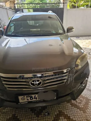 Toyota RAV4 2013 Brown