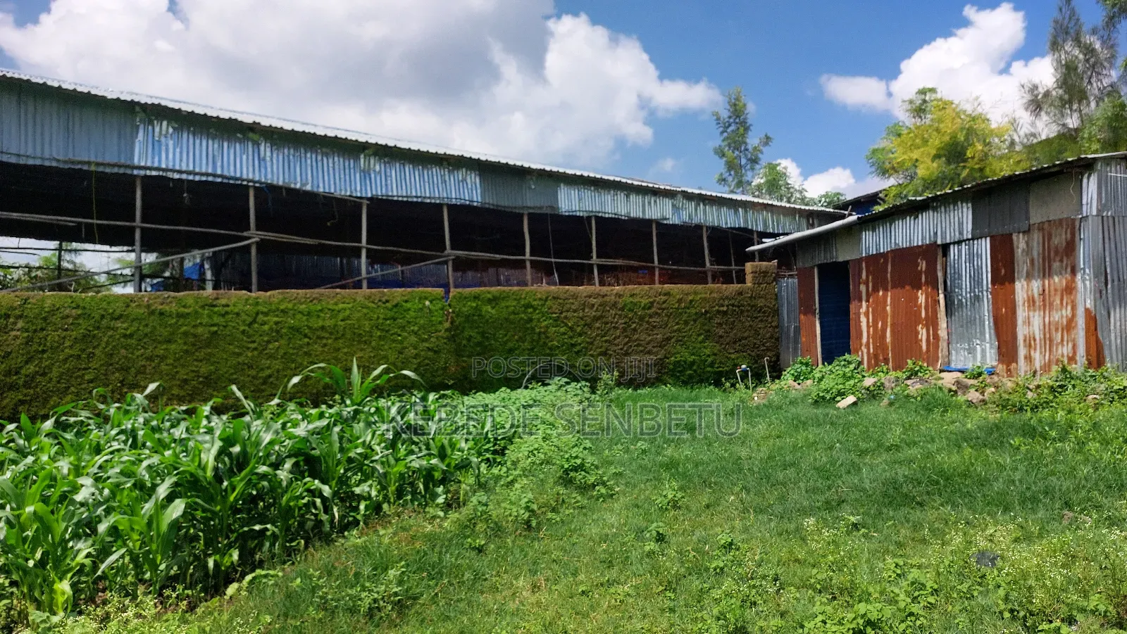 Chikeen Ware House For Rent