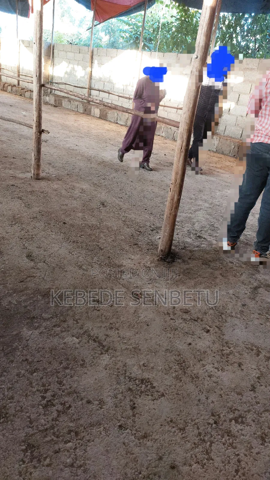 Chikeen Ware House for Rent