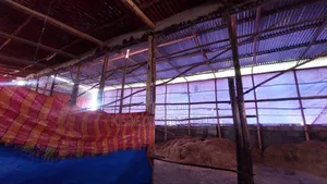 Chikeen Ware House for Rent