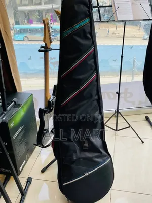Bass Guitar Bag