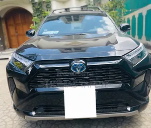 Toyota RAV4 2024 Blue