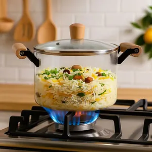  Heat Resistant Glass Pot