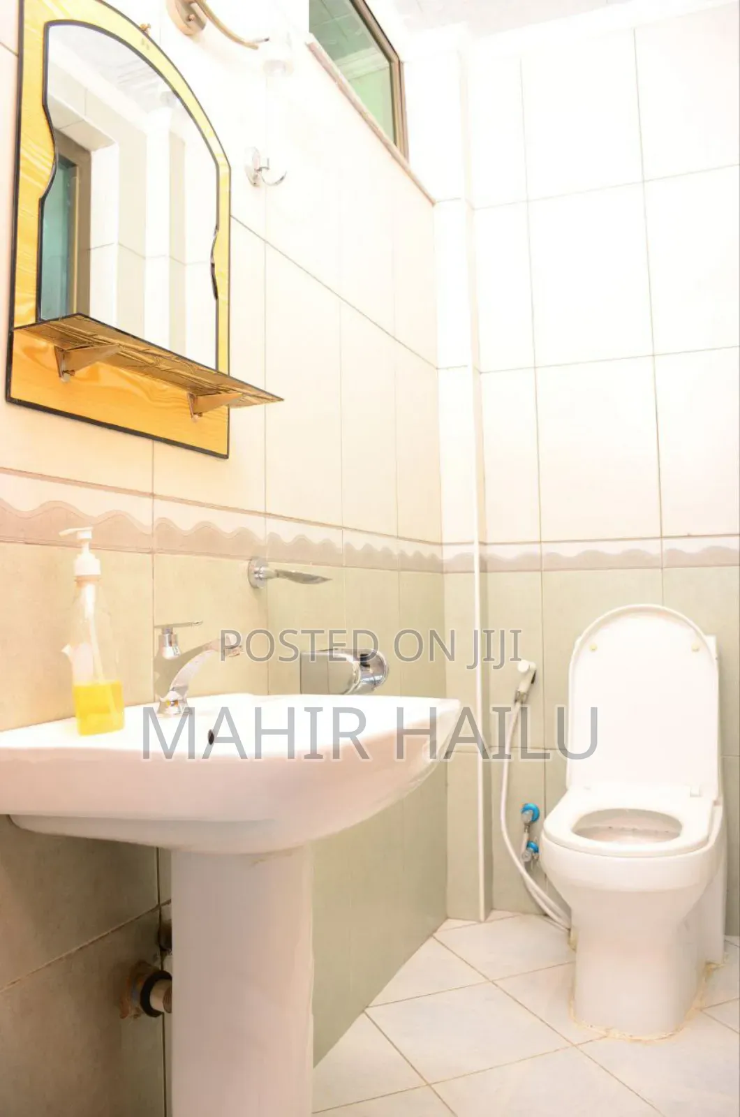 Furnished 8bdrm House in Goro, Bole for rent