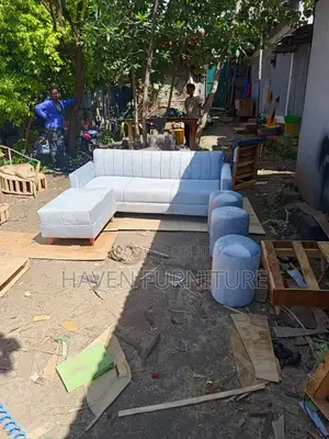 Sliver Color Sofa