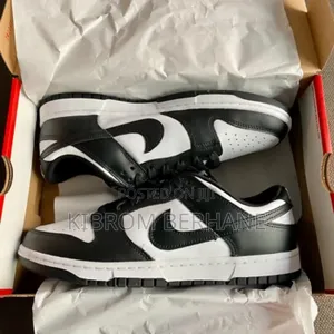 Nike Dunk Low Retro Panda