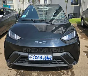 BYD Seagull 2025 Black