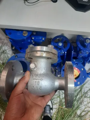 Steam Cheek Valve