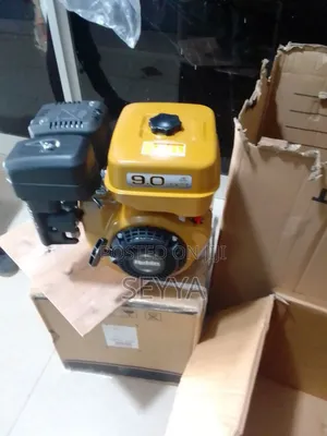 Robine 9hp Engine