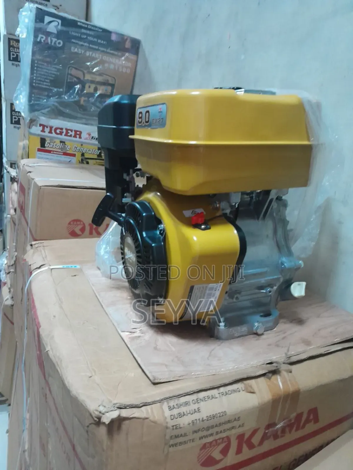 Robine 9hp Engine