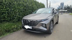 Hyundai Tucson 2022 Gold