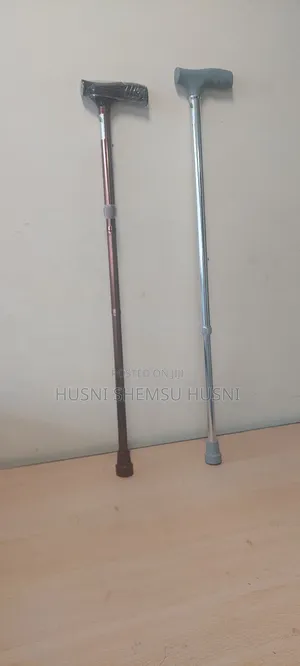 Walkin Sticks
