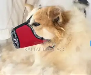 Dog Muzzles /Mask