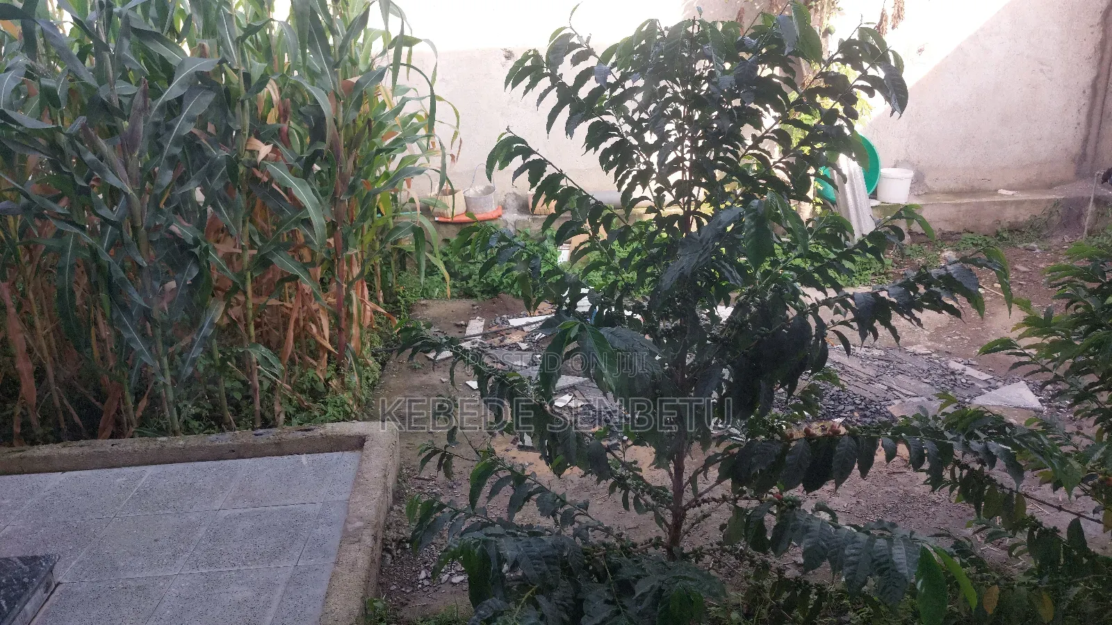 4bdrm House in East Shewa for rent
