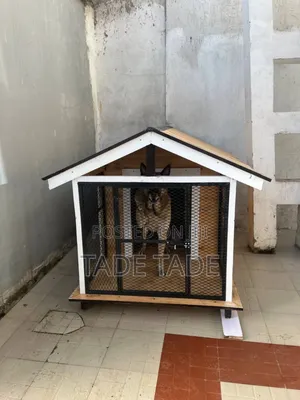 Smart Dog House