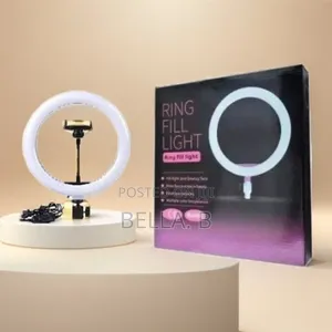 10 Inch Led Ring Light: The Clarity Catalyst.