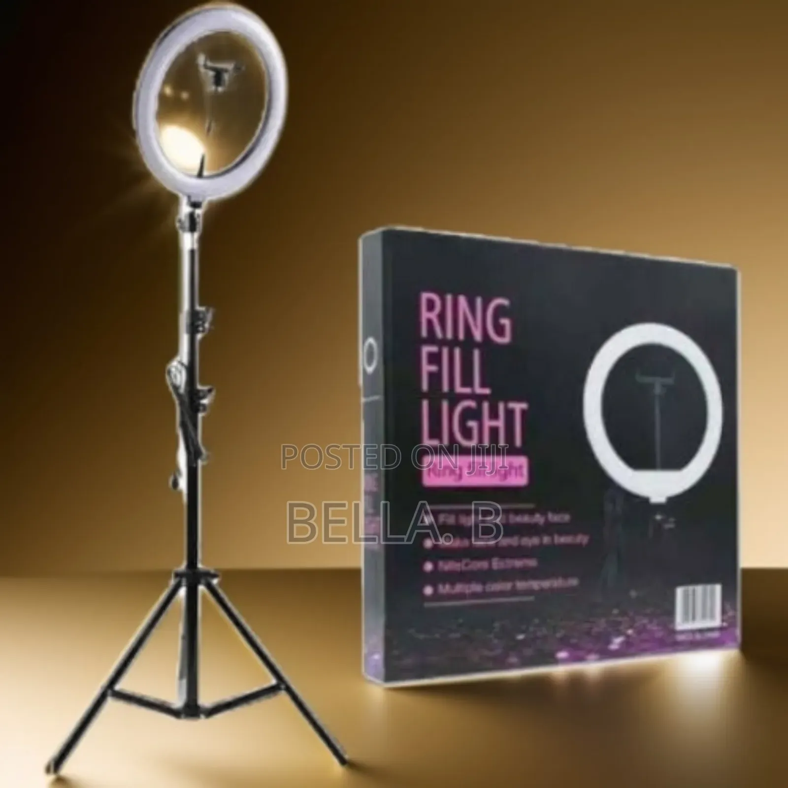 10 Inch Led Ring Light: Professional Lighting Anywhere.