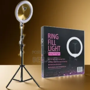 10 Inch Led Ring Light: Adjustable Brightness for Every Mood.