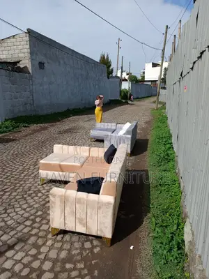 One Cream in Sofa