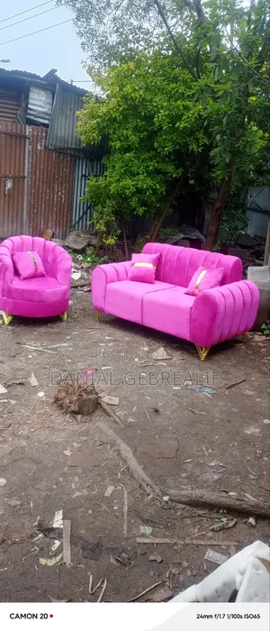 Pink Sofa 1