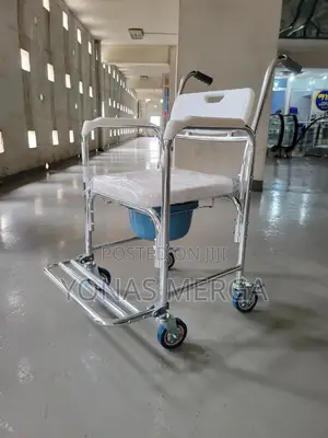 Toilet Chair蜊፫commode Chair∫∫喆bucket Shower-Proof Design,17"Seat Width