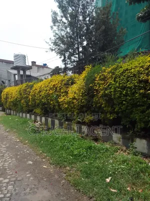 Commercial Land Sale Bole Totot Hotel or Nexusus Hotel Area