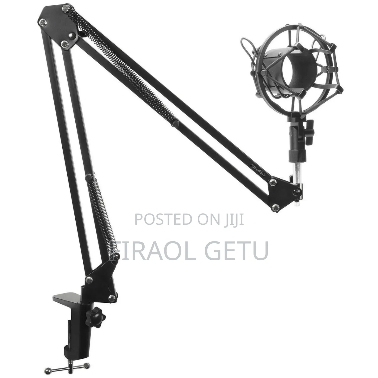 Professional Microphone Stand