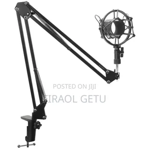 Professional Microphone Stand