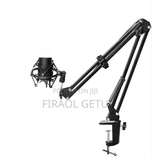 Professional Microphone Stand
