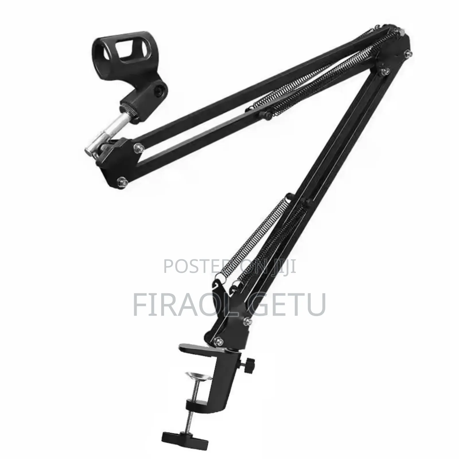 Professional Microphone Stand