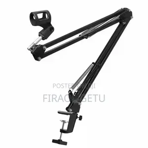 Professional Microphone Stand