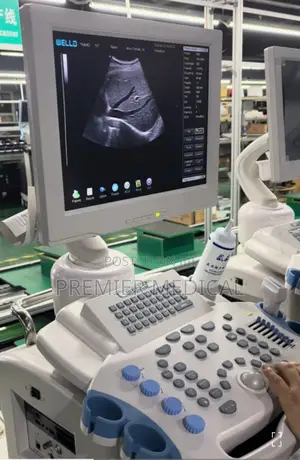 Full Digital Ultrasound System With Two Probes