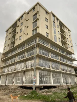 Furnished 3bdrm Apartment In Bole For Sale