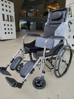 Toilet Wheelchair砸‱Assisted Living and Make It Dignified and Safer