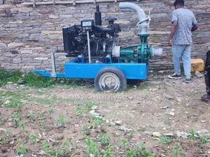 Caprari Surface Water Pump