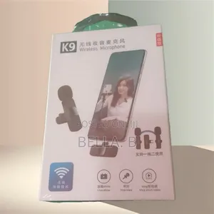 Wireless Microphone: Ideal for Public Speaking.