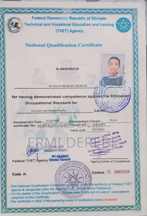 Junior Accounting
