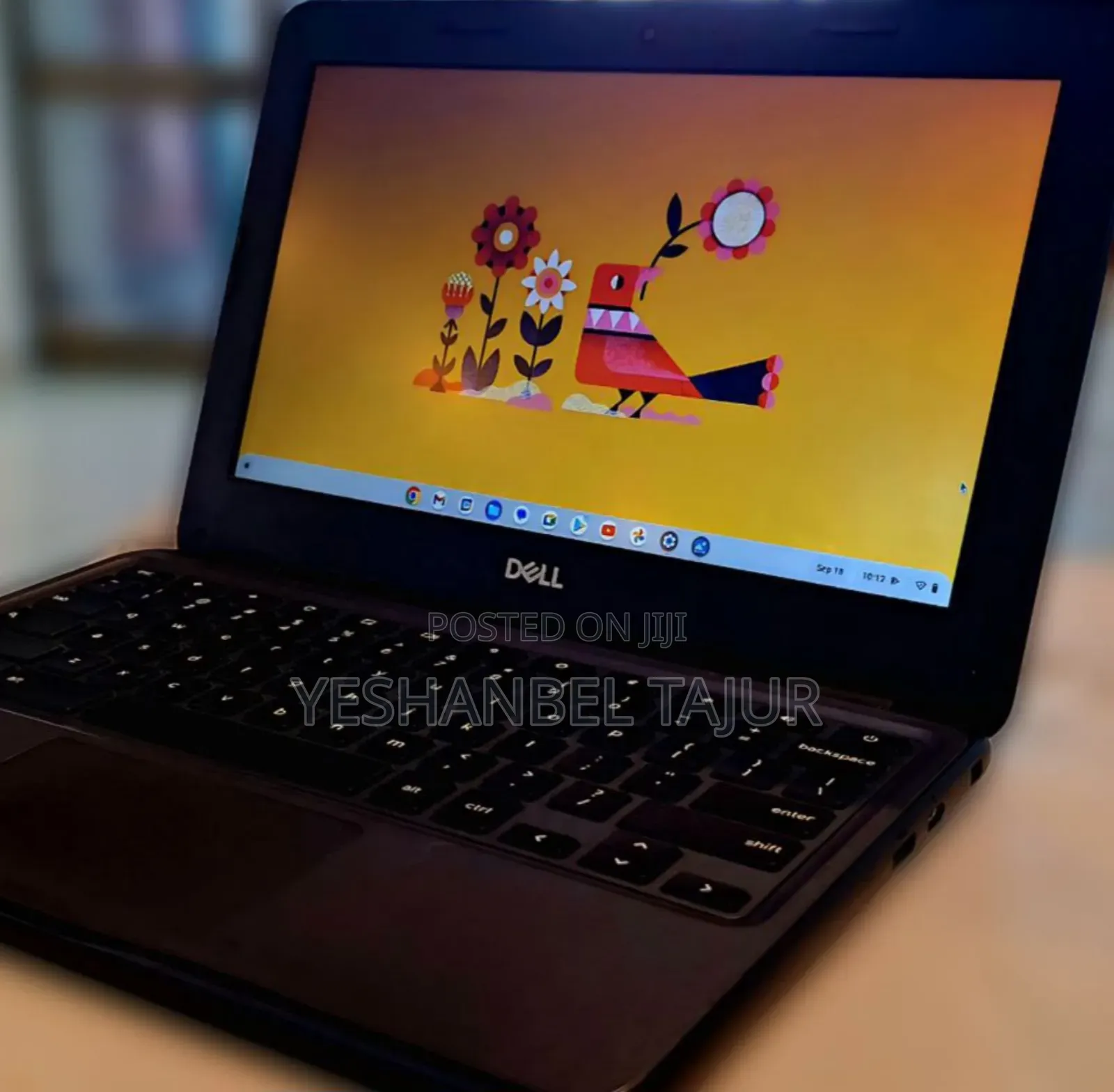New Laptop Dell Chromebook 11 4GB Intel Celeron SSD 32GB