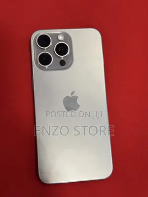 Apple iPhone 15 Pro Max 256 GB Gray