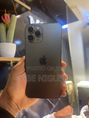 Apple iPhone 12 Pro Max 256 GB Gray