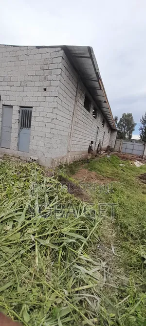 አስቸካይ የሚሸጥ ቤት