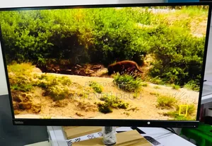 Framless Monitor Lenovo
