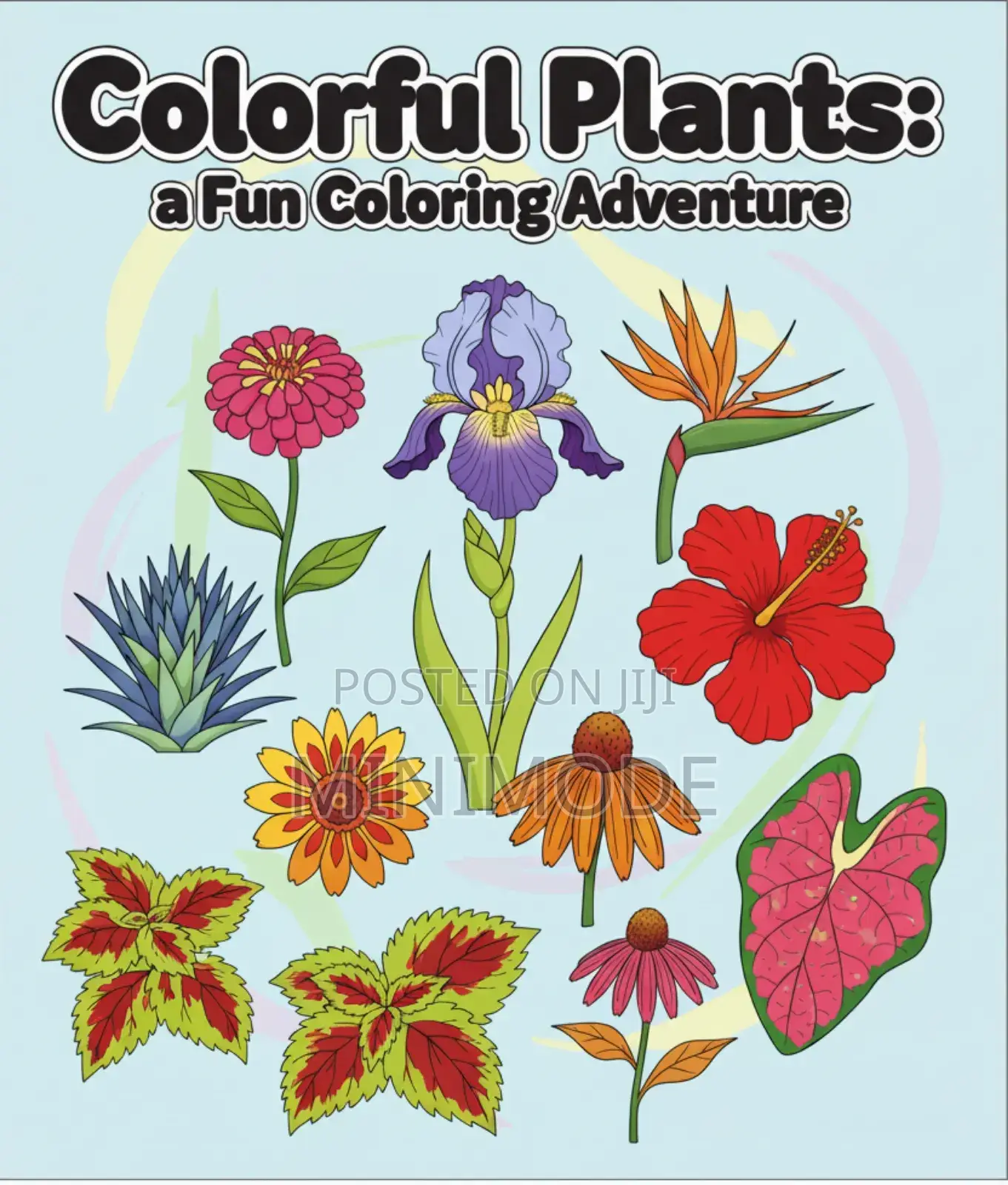 Kids Coloring Book
