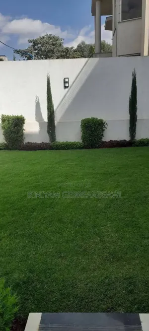 8bdrm House in G+2, Yeka for rent