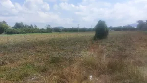 Farmland for Rent