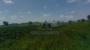 Farmland for Rent