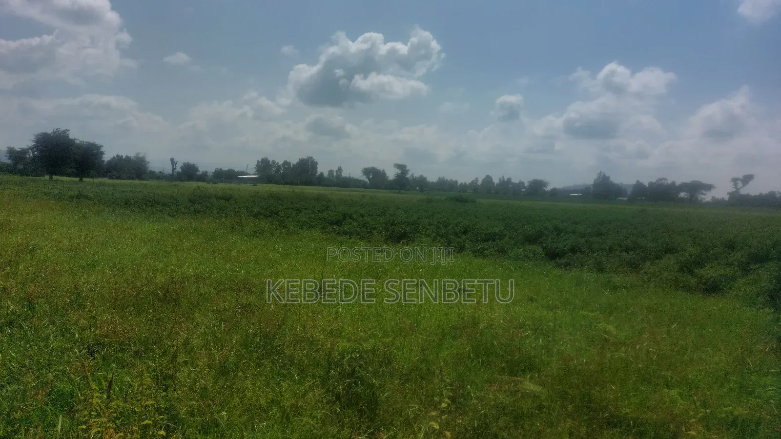 Farmland for Rent